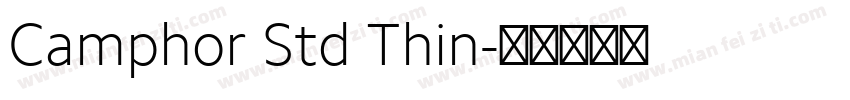 Camphor Std Thin字体转换
